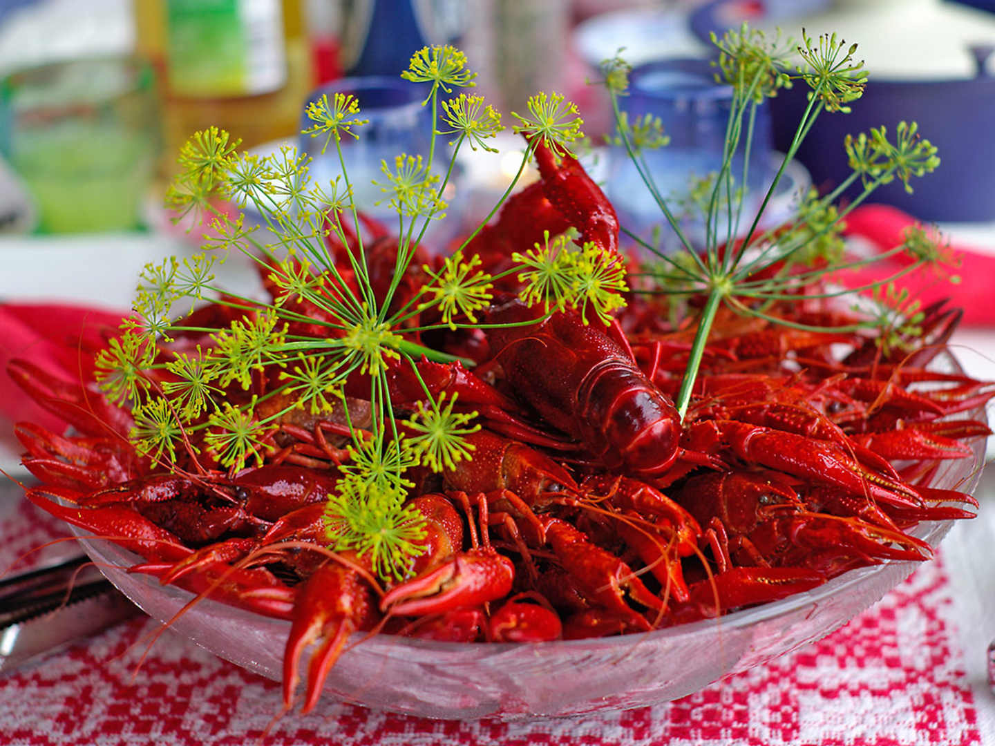 Kräftor med krondill