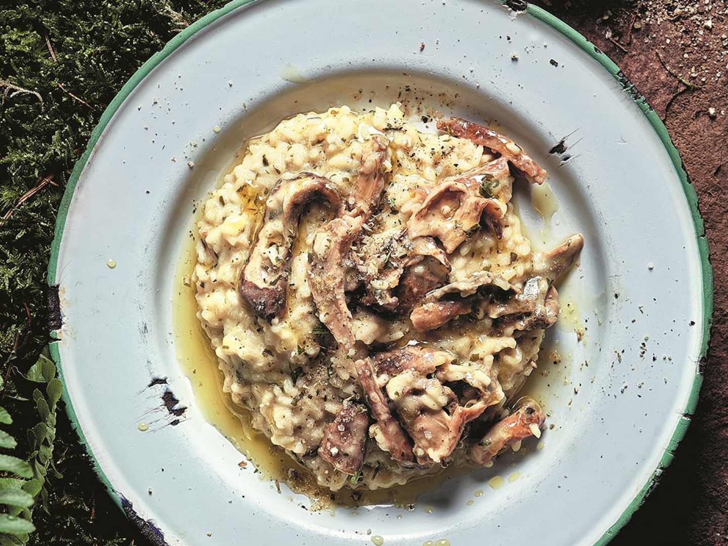 Krämig svamprisotto