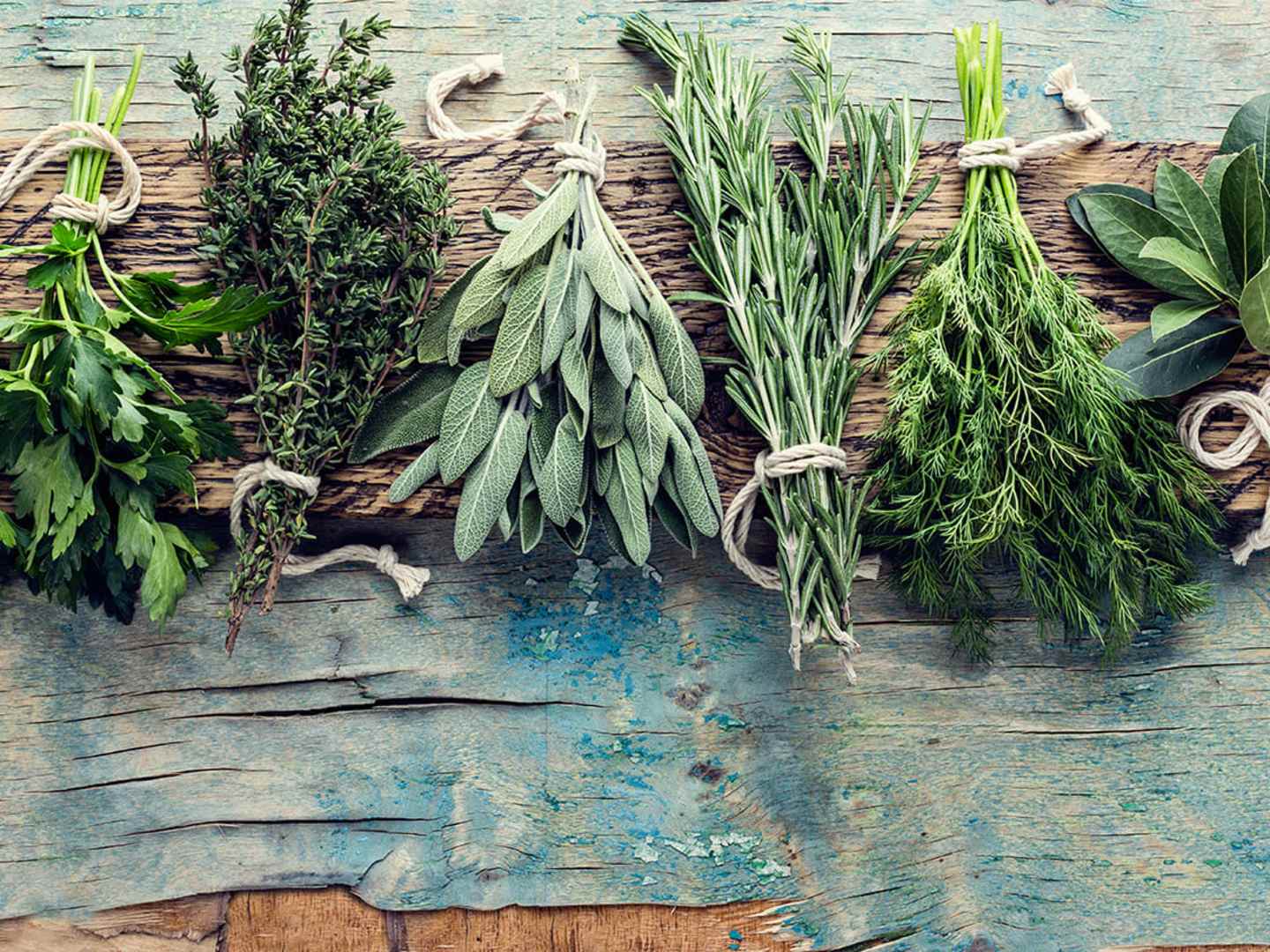 Kryddor till snapsen