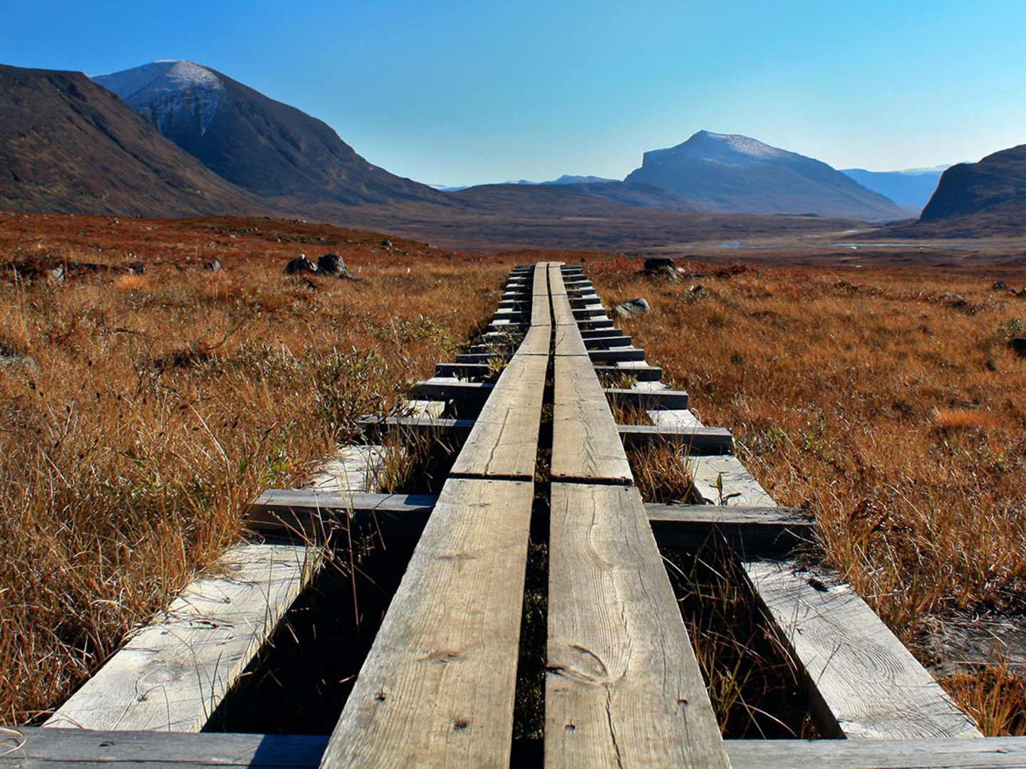 Vandringsleden Kungsleden