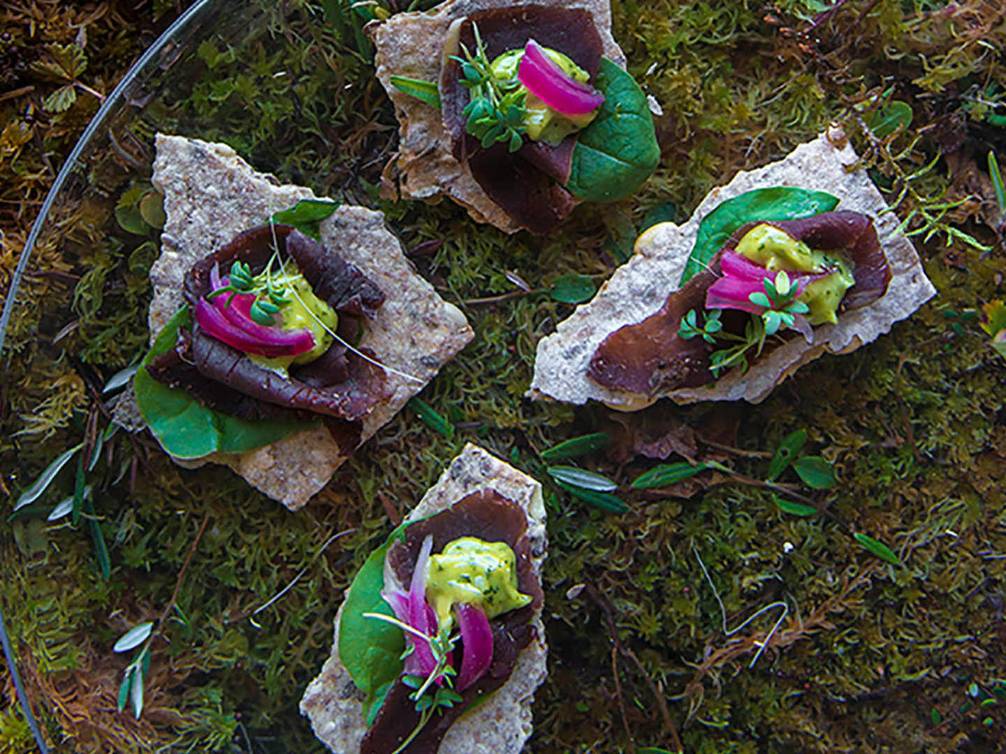 rökig macka i skogen