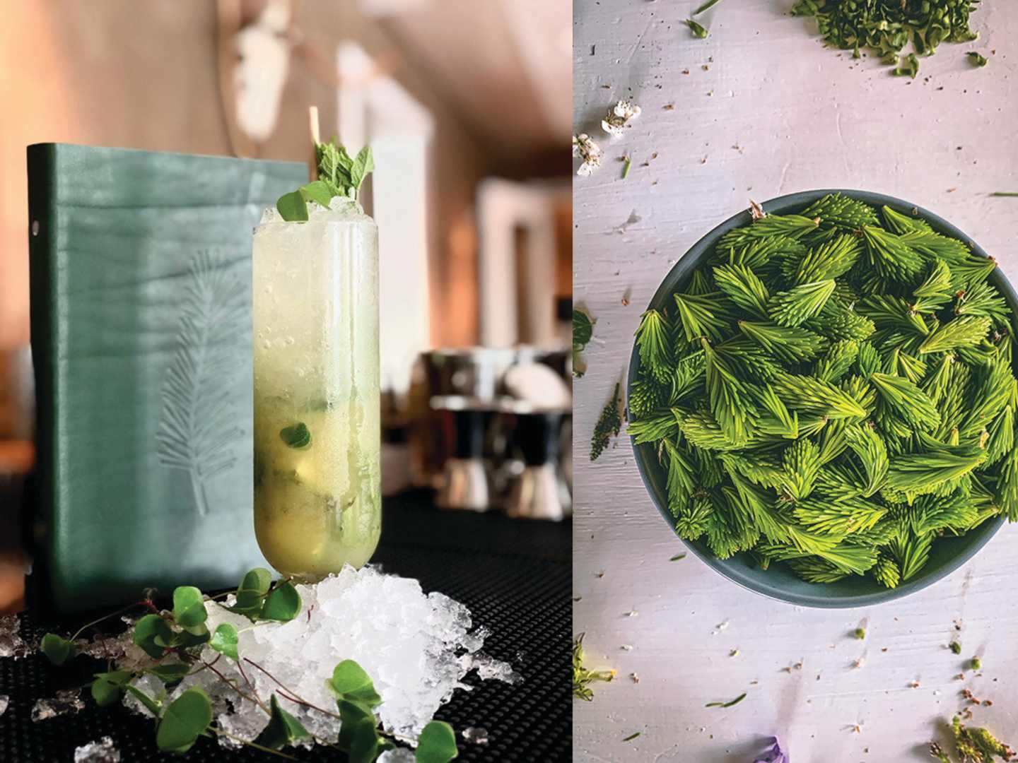 Drinken Skogito och granskott