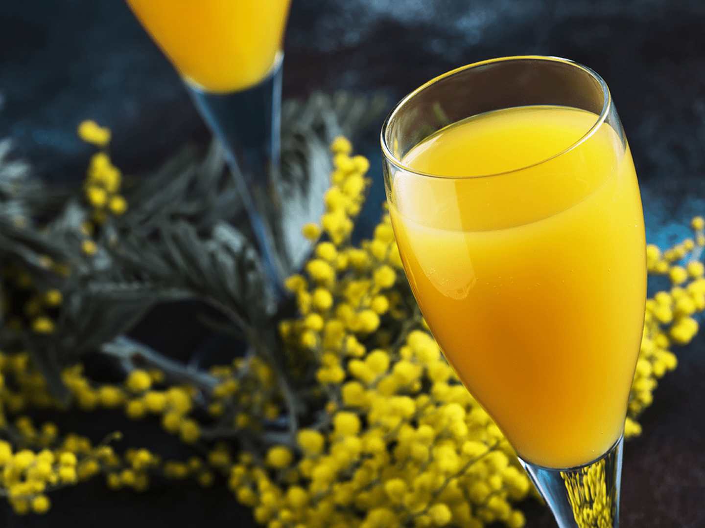 Mimosa