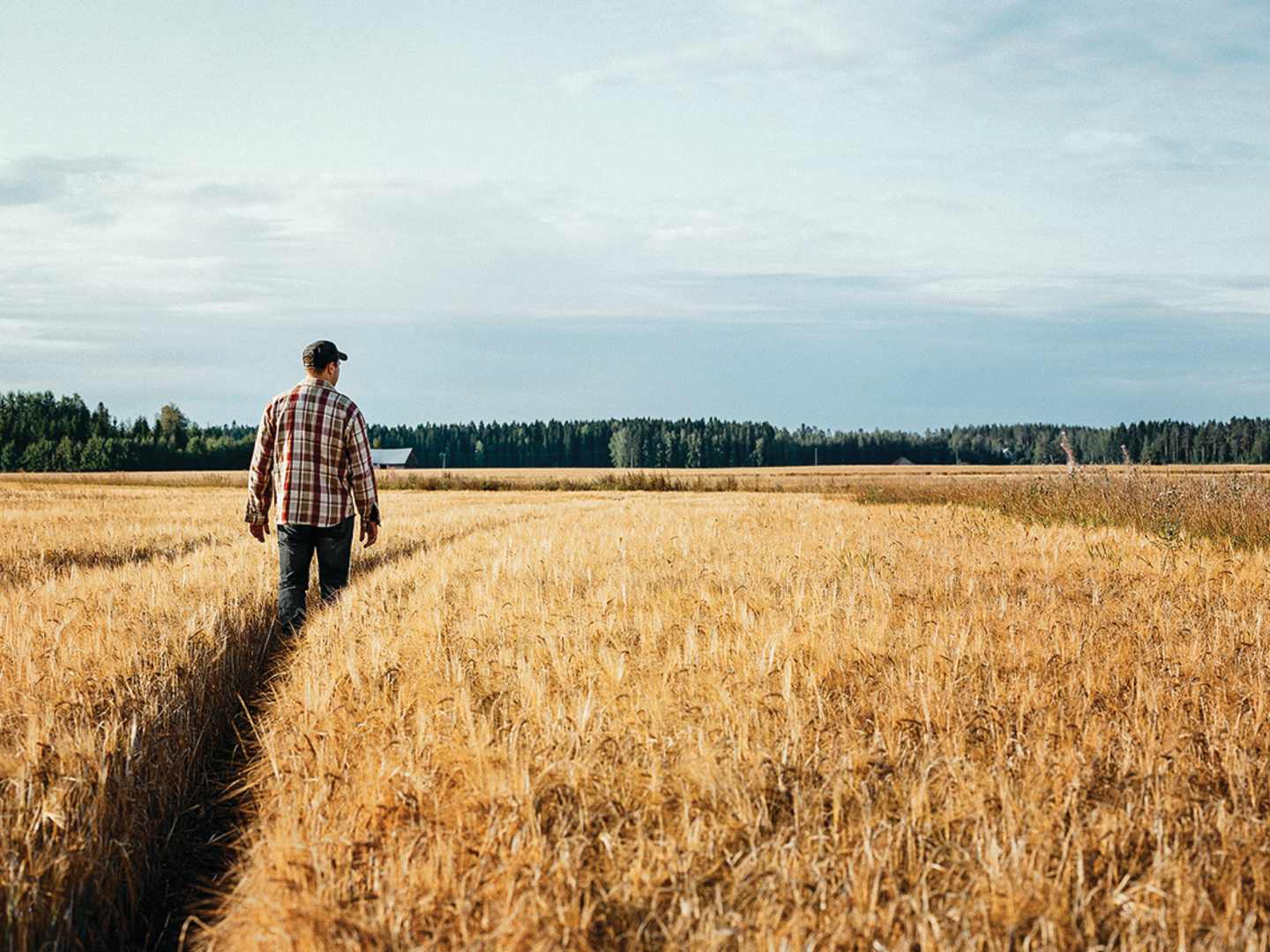 Regenerativt jordbruk