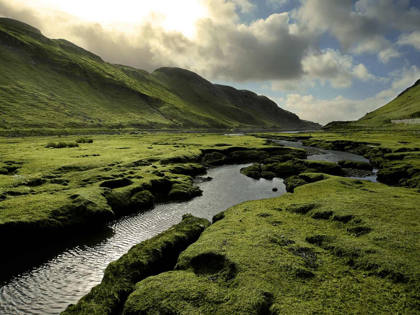Vattendrag i Highlands - bidrar vattnet till whiskyns smak?