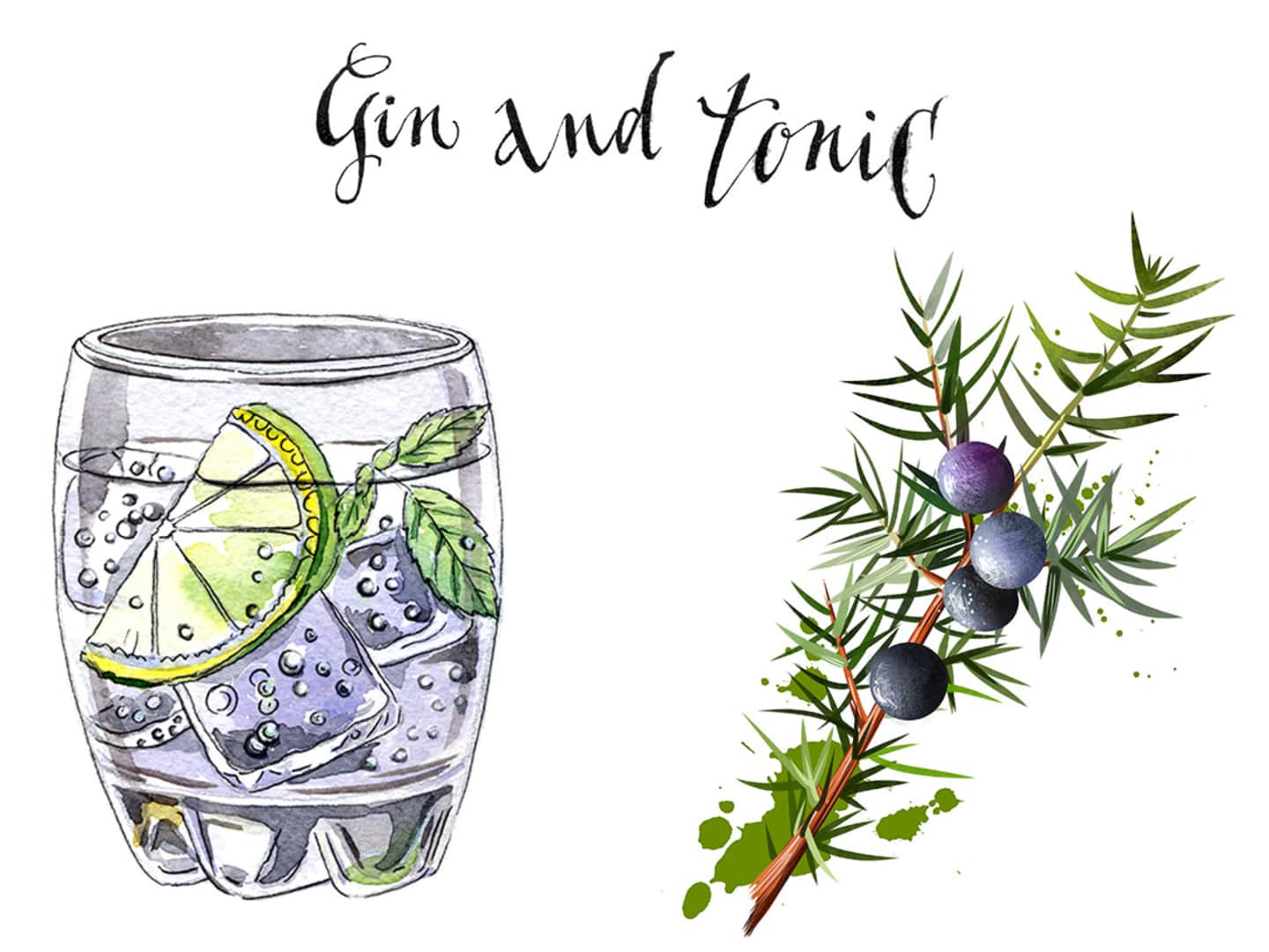 Visste du det här om gin och tonic?