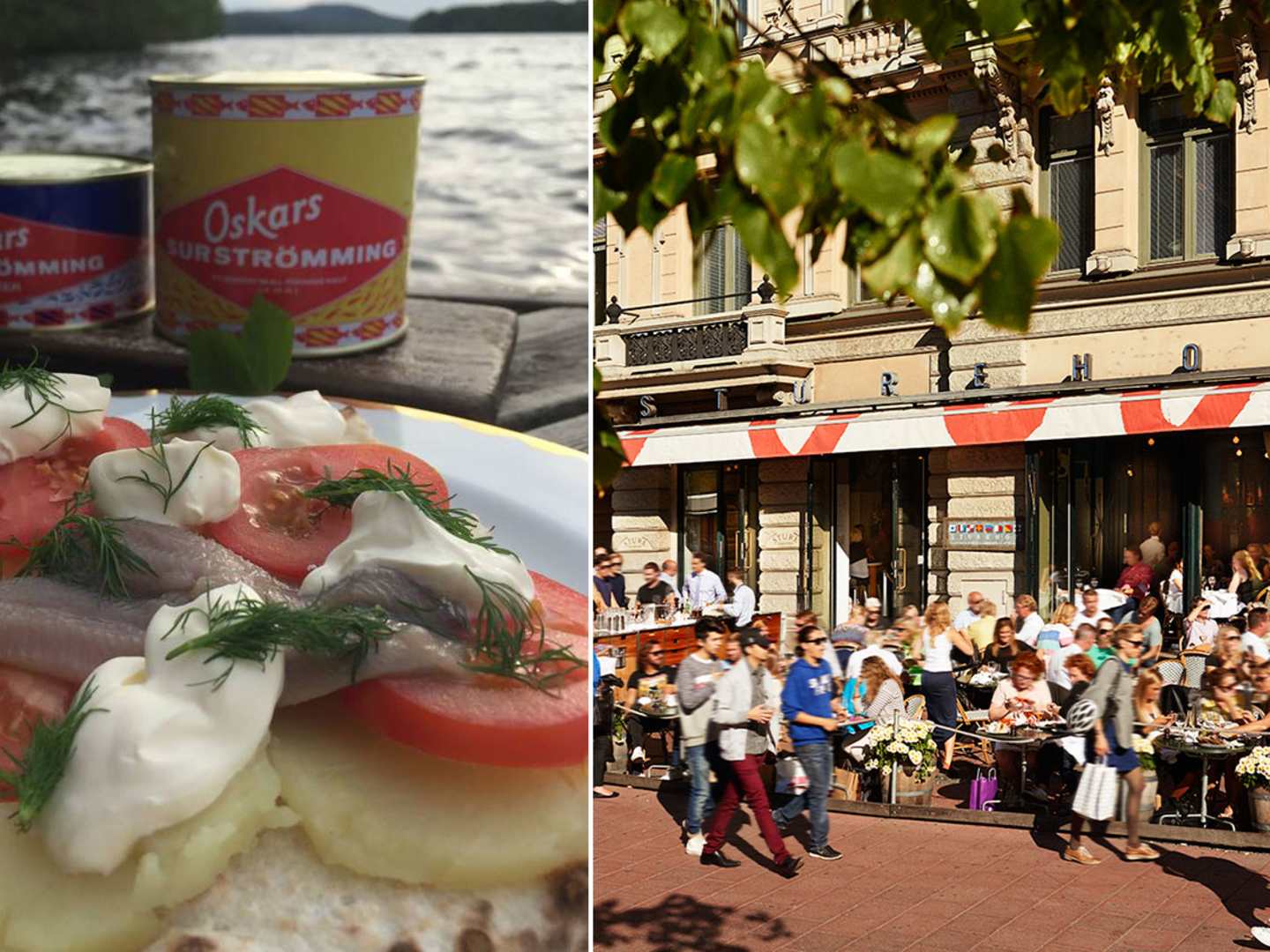 Surströmming på Stureplan