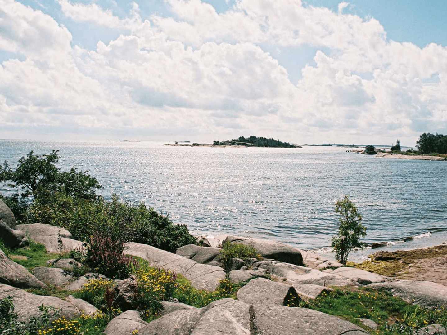 Vårt åtagande för att rädda Östersjön