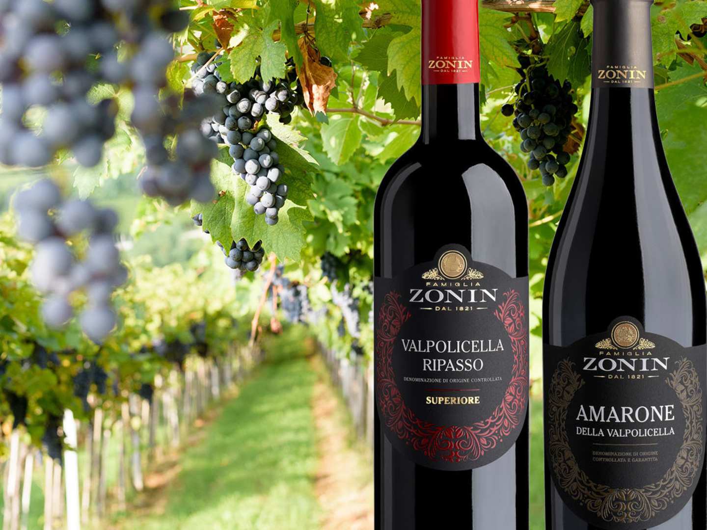 Viner från Zonin