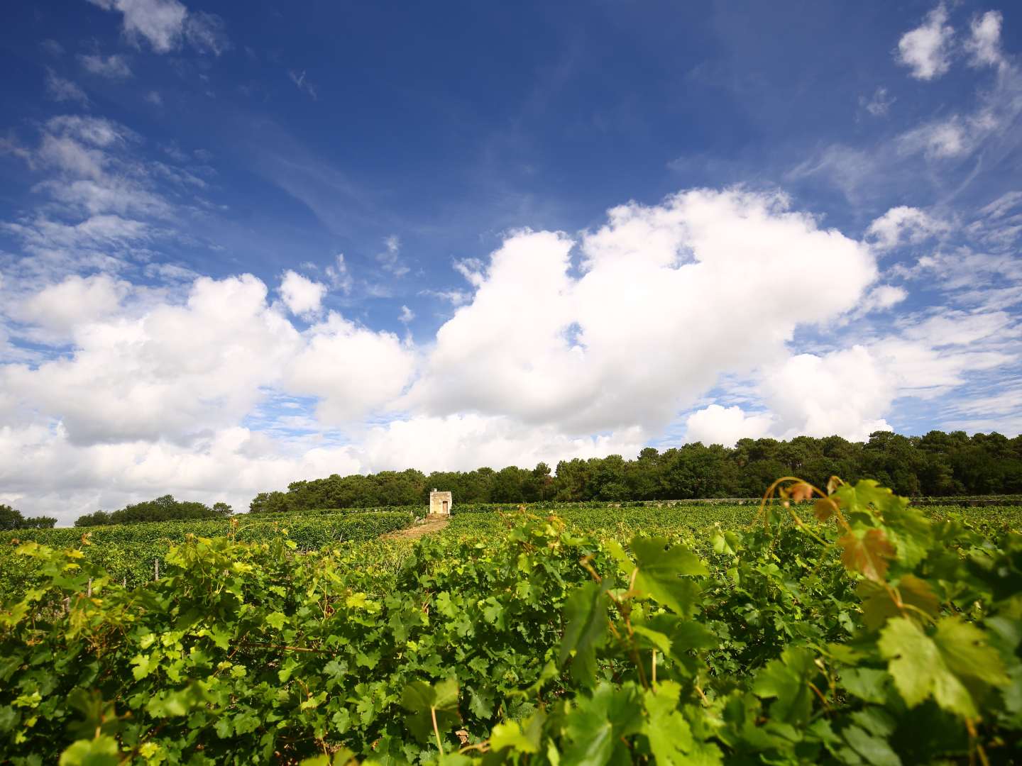Cave Robert et Marcel i Loiredalen