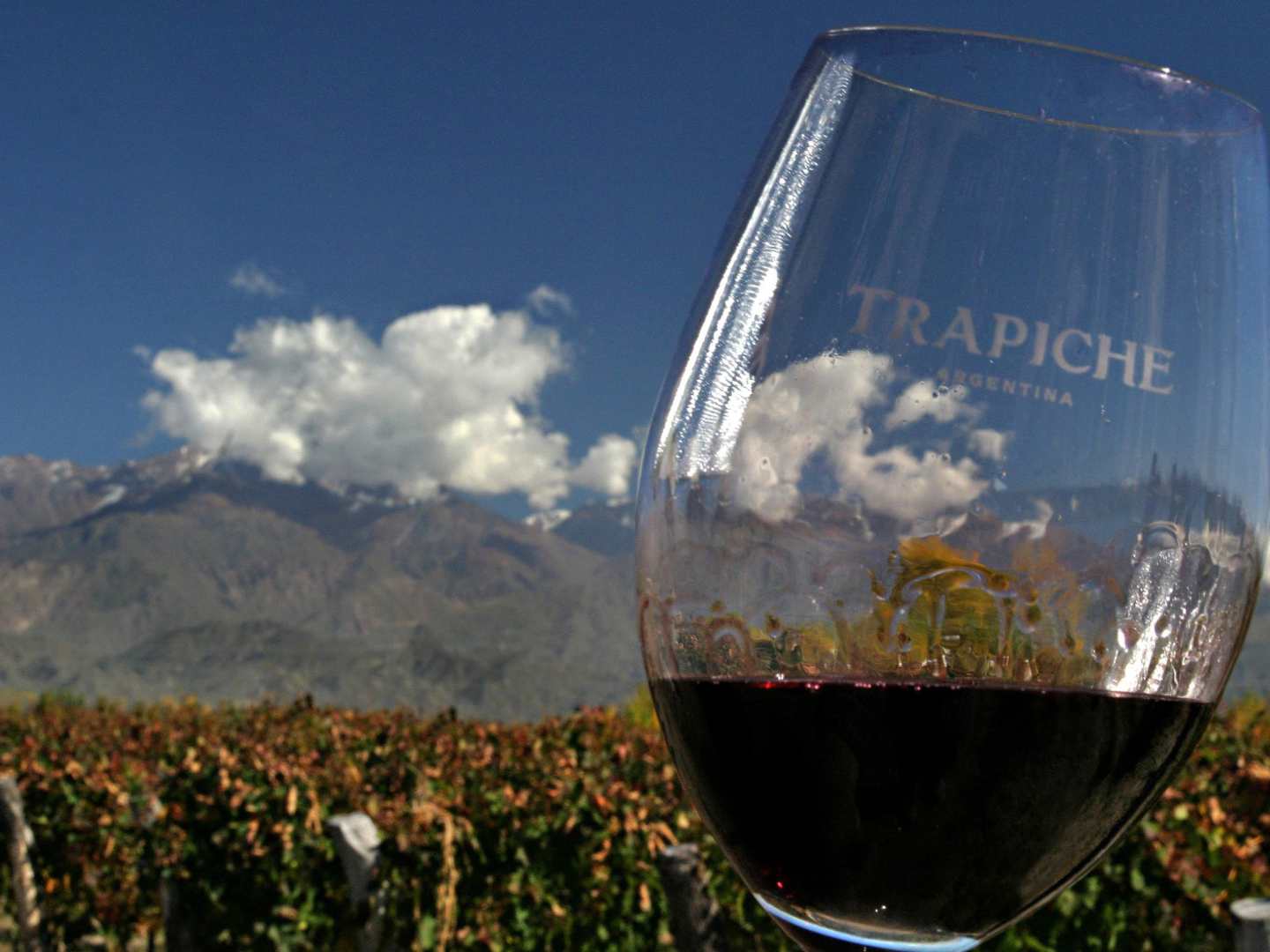 Bodega Trapiche - punaviiniä viinilasissa