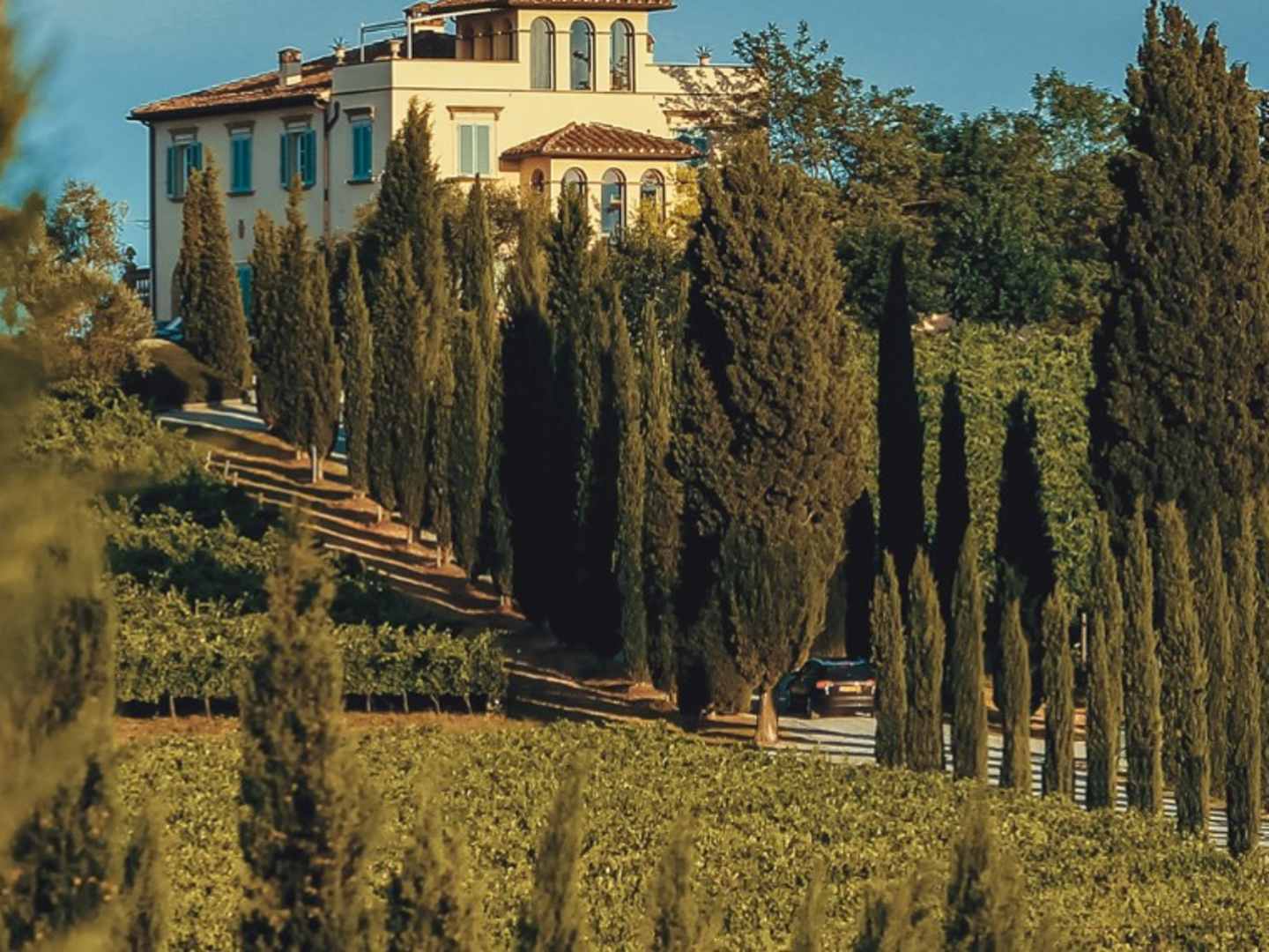 Castellani Spa -viinitalo