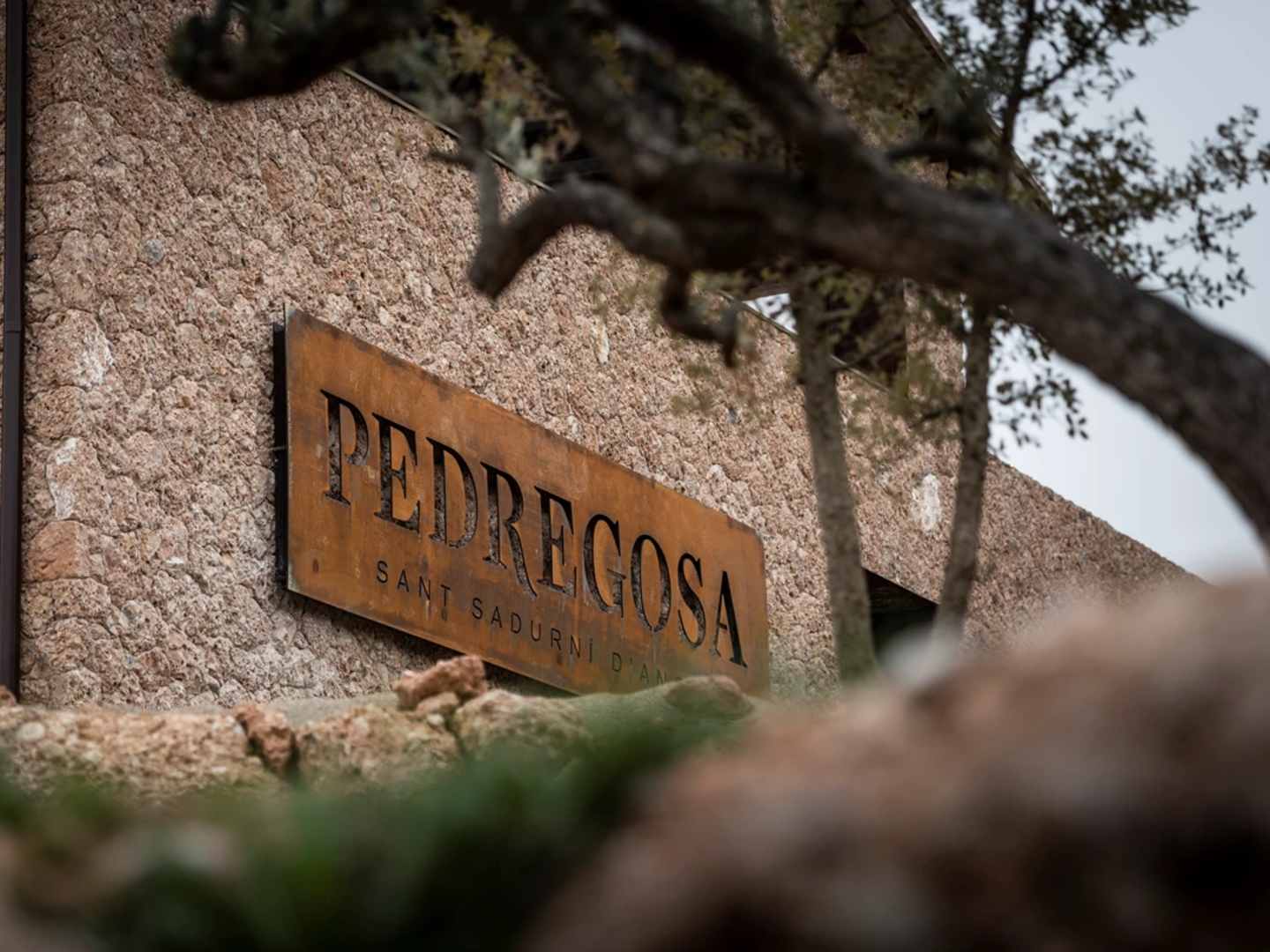 Castelo de Pedregosa