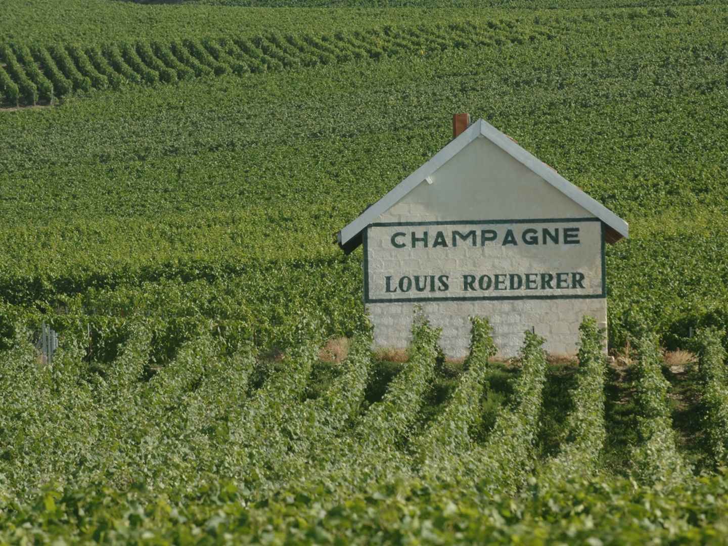 Champagne Louis Roederer Maison Lr Dans le Vignoble
