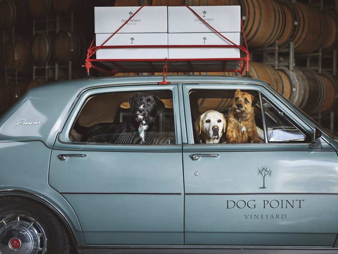 Dog Points dog mobile med tre hundar