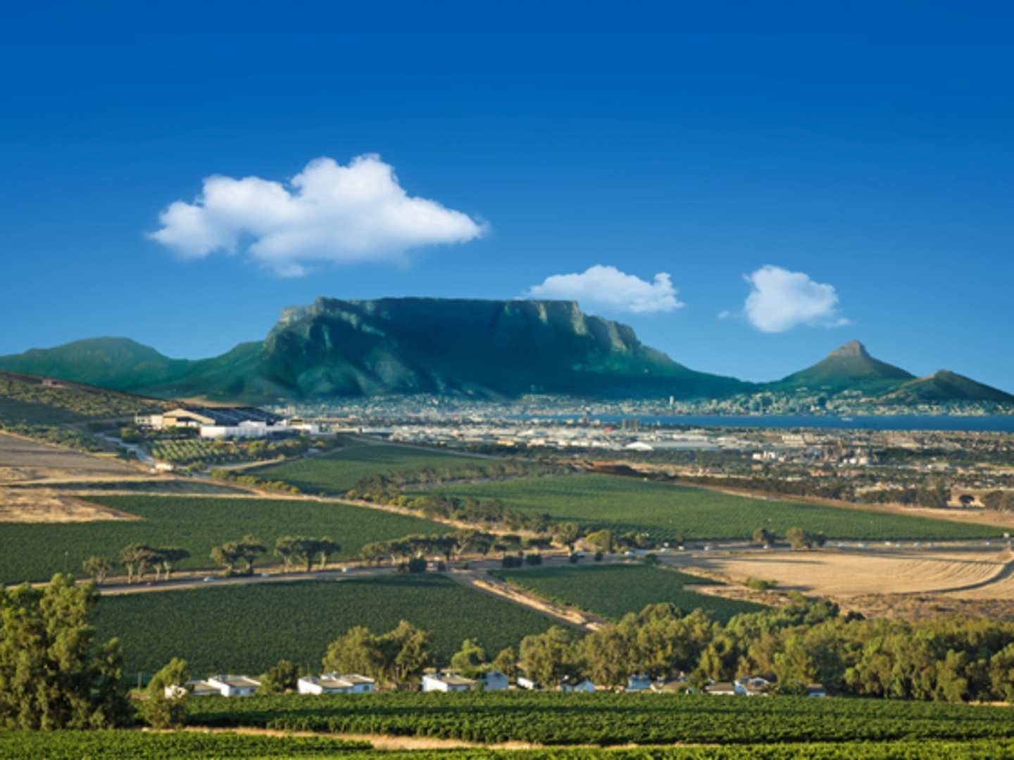 Durbanville Hills -viinitila
