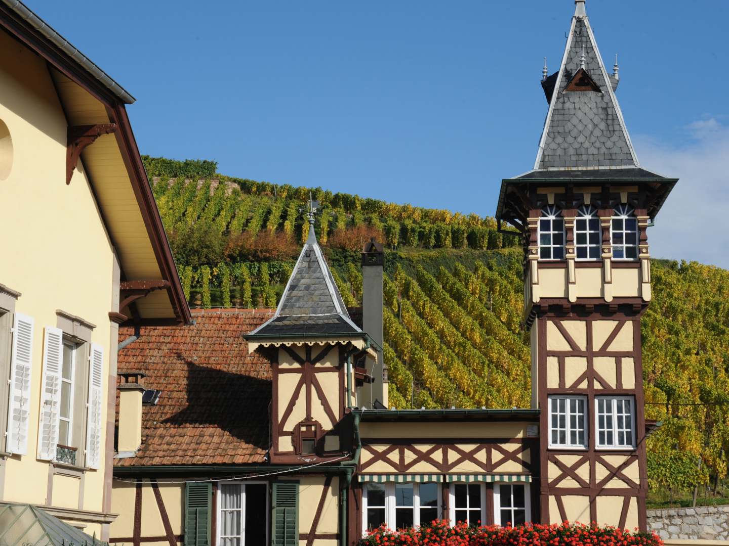 F.E. Trimbach viinitalo