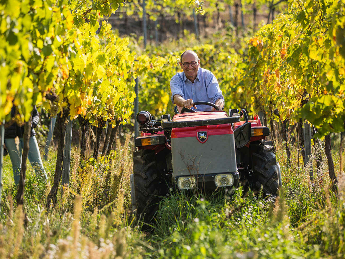 Ferdinand Mayr viinitilalla