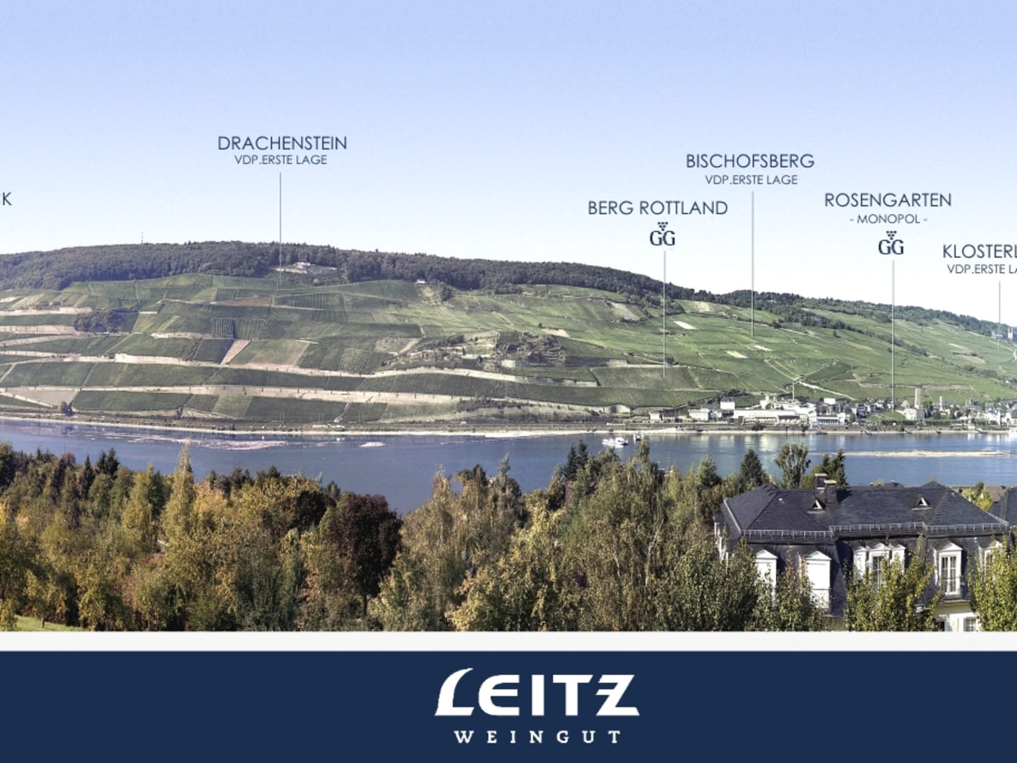 Leitz -viinikartta