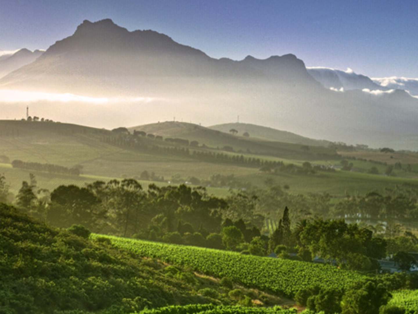 Pongrácz -viinitila