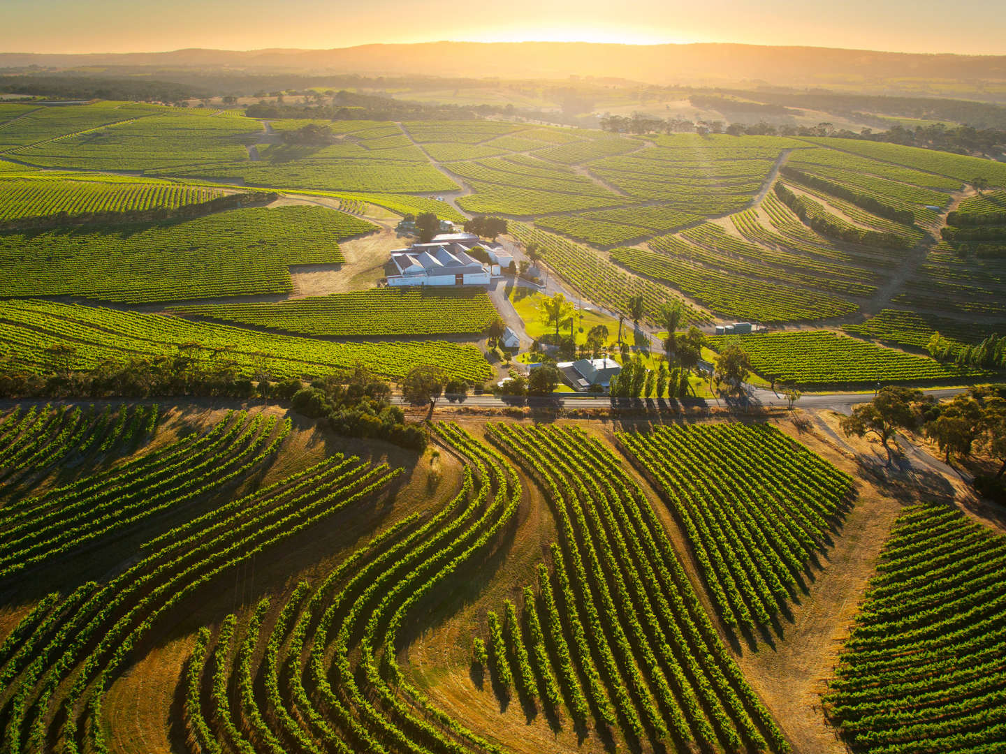 Rosemount Estate -viinitila