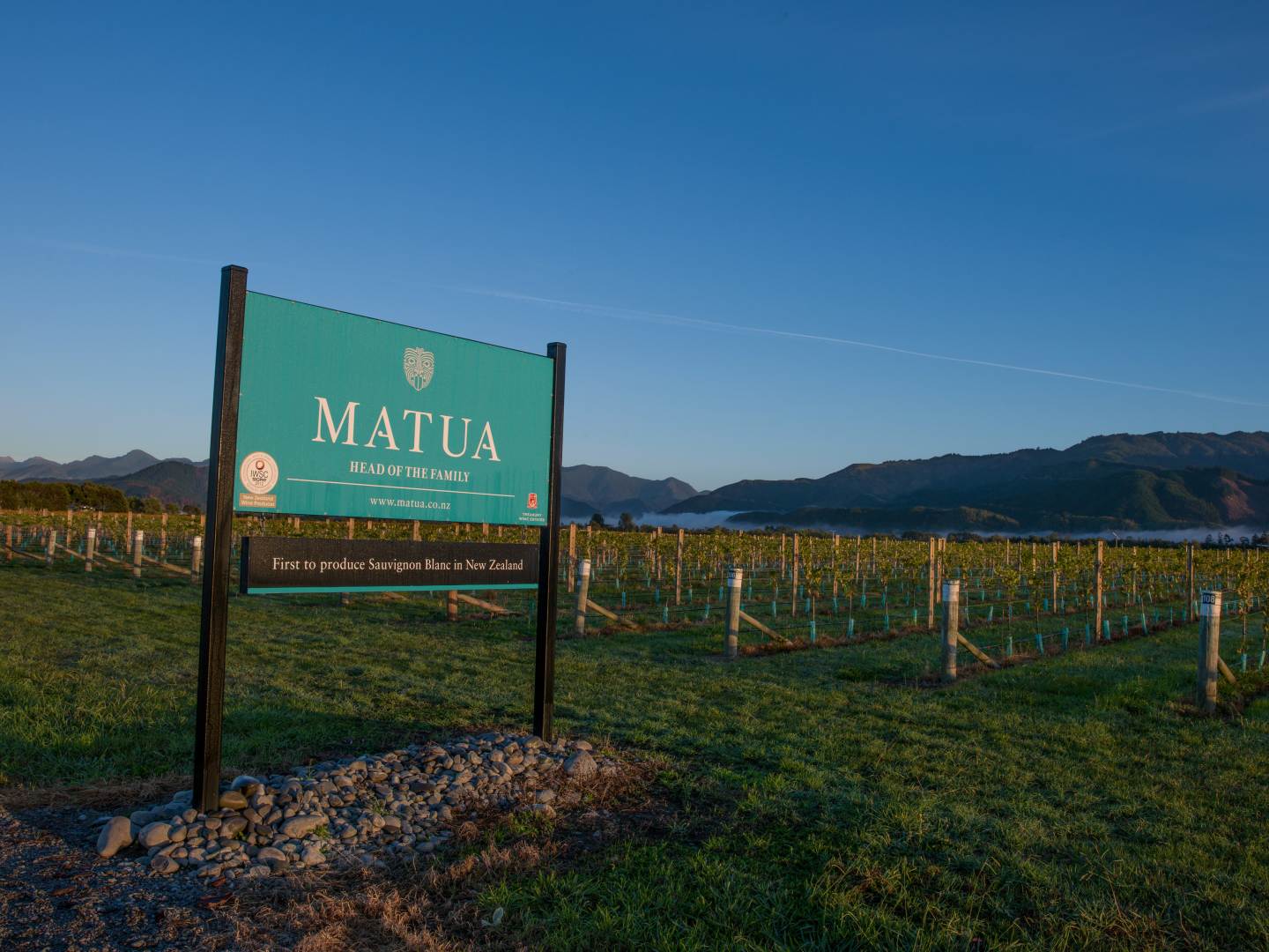 Matua | Viinimaa