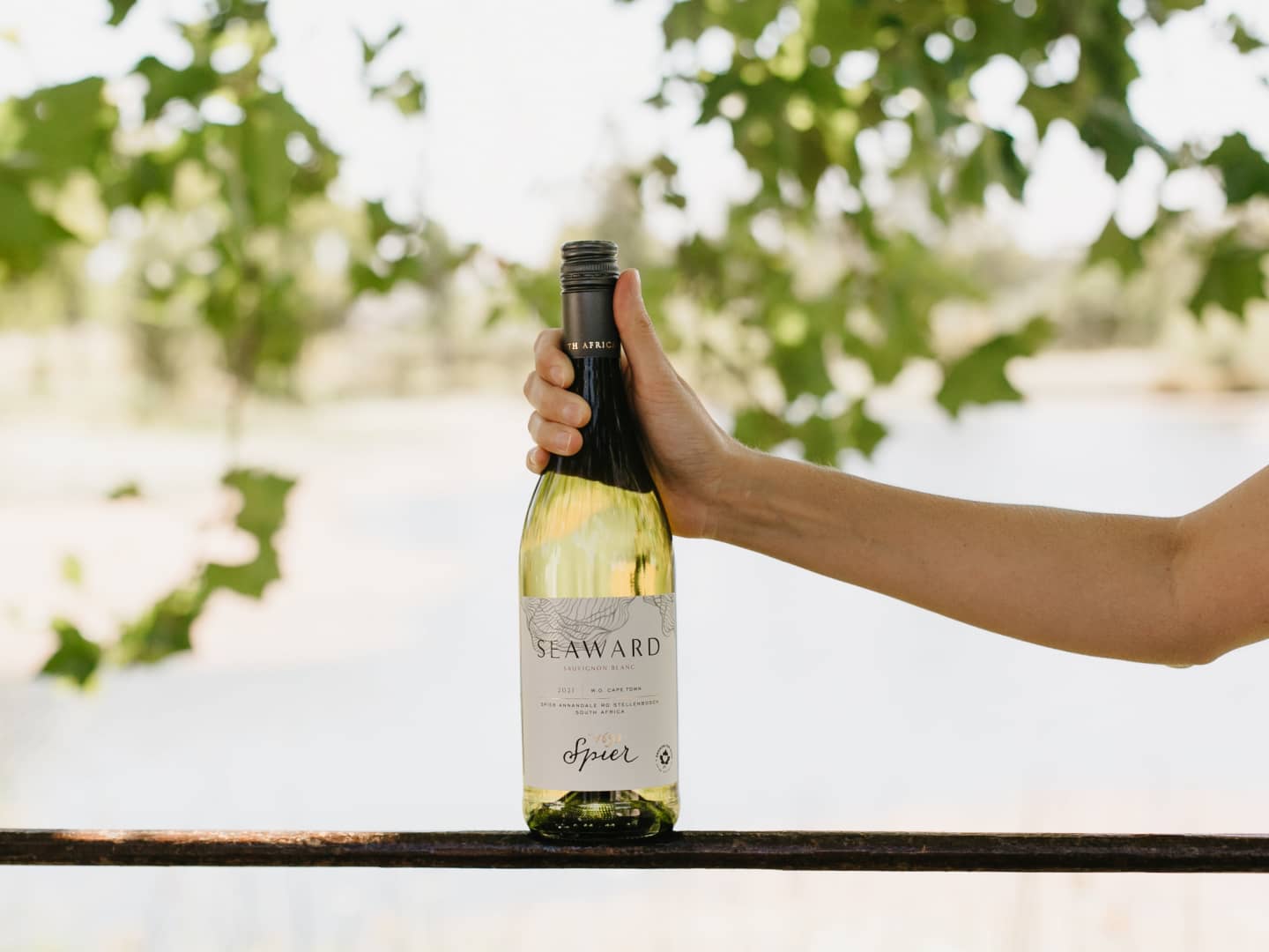 Spier Seaward Sauvignon Blanc