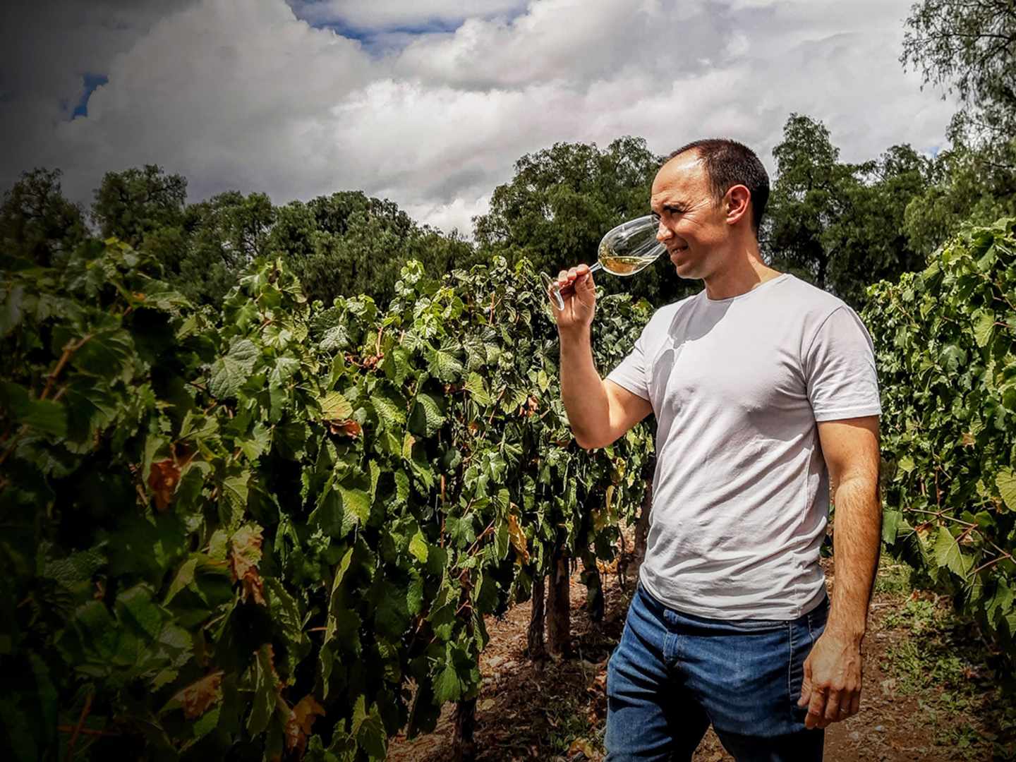 German-Buk-Finca-Las-Moras