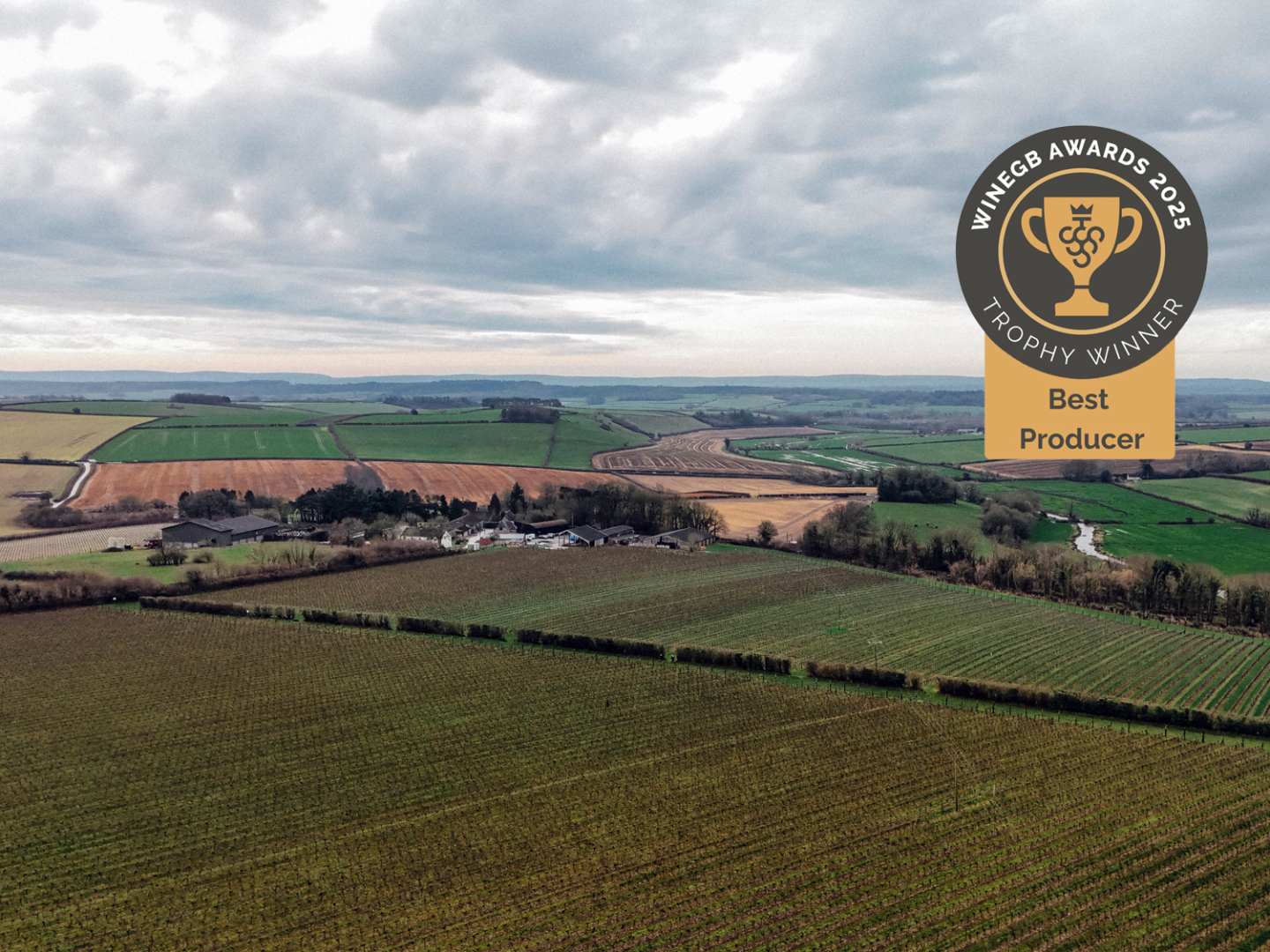 Langham Wine Estate maisema