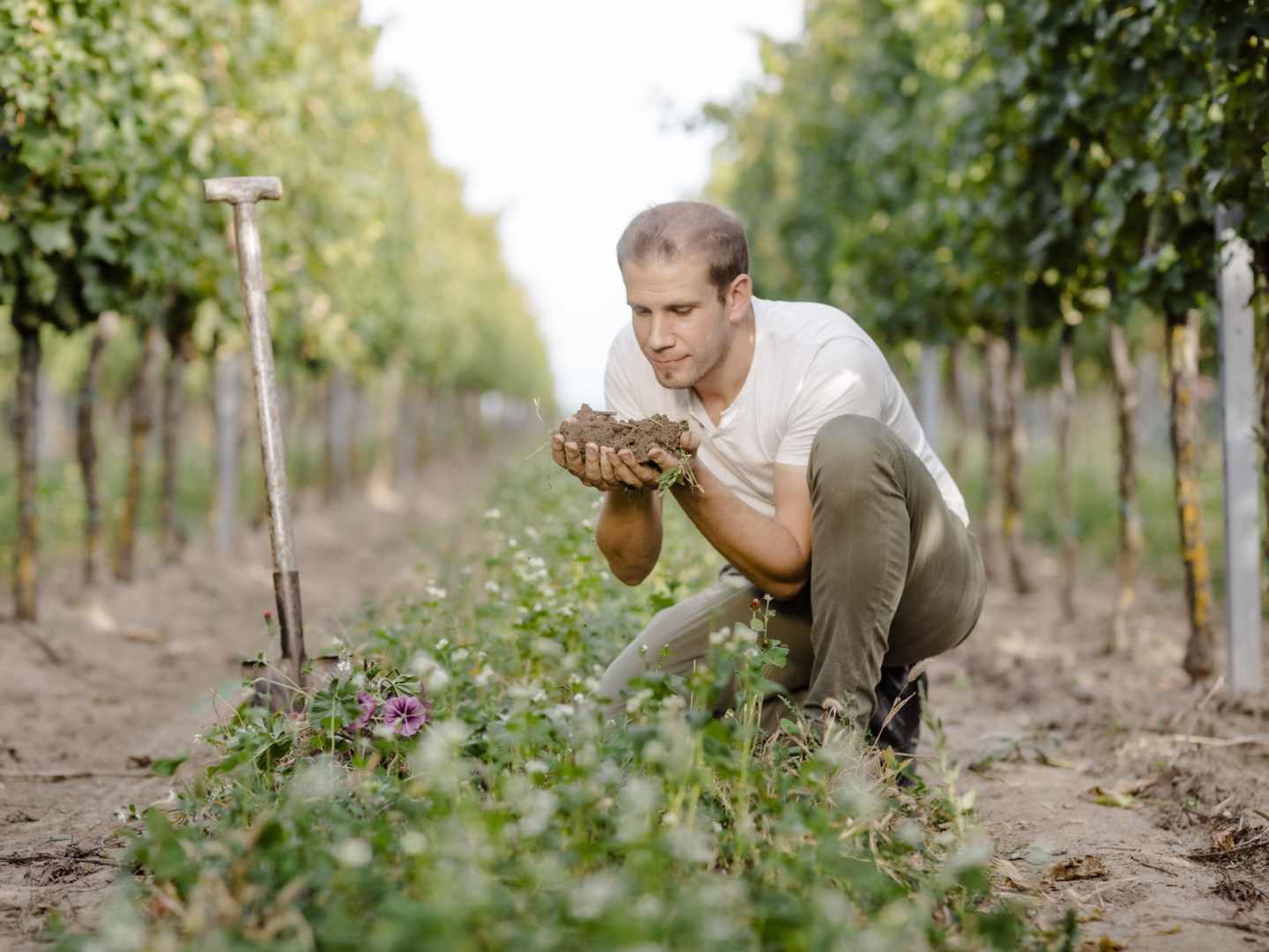Stefan-Pratsch-Weingarten-Bodenprobe