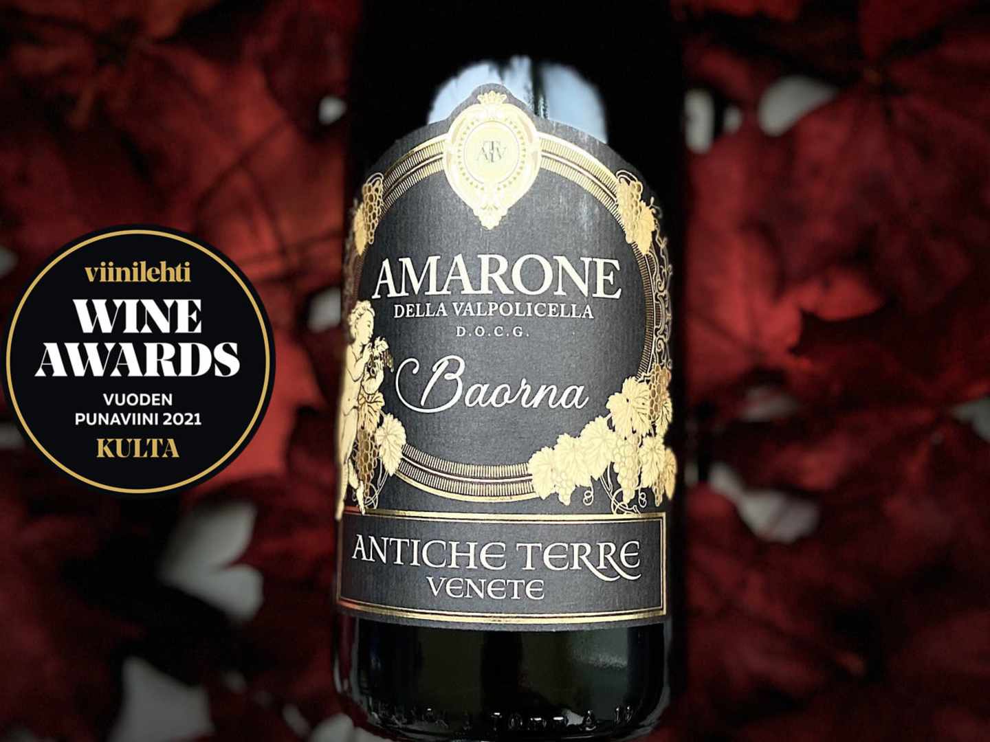 Antiche Terre Amarone