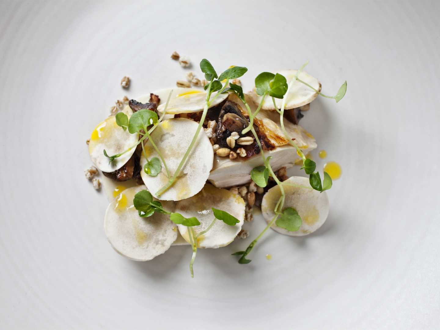 Kananpoikaa rapsakan ohran kera + viinisuositus