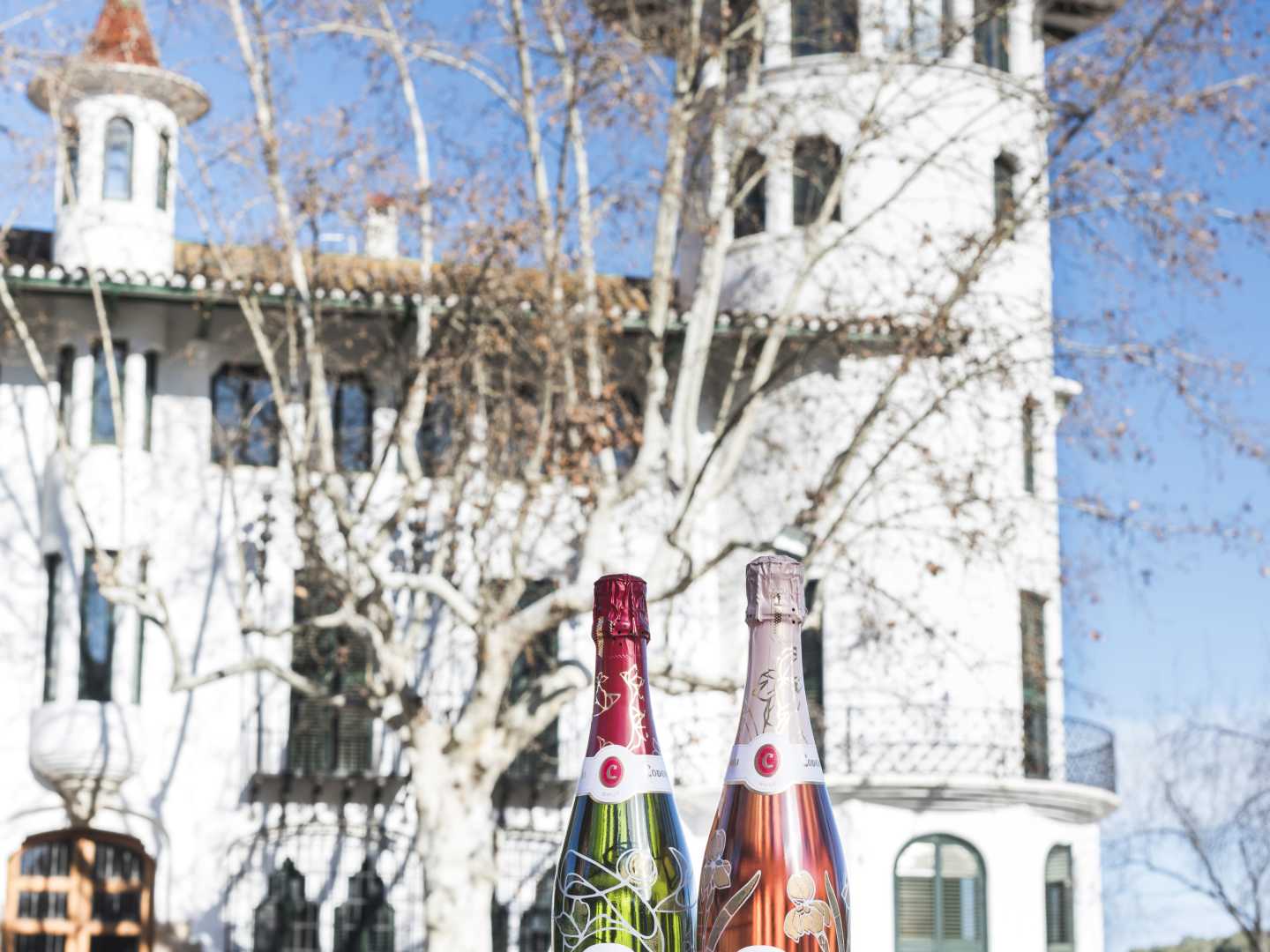 Koe Barcelona ja kuplivat cavat