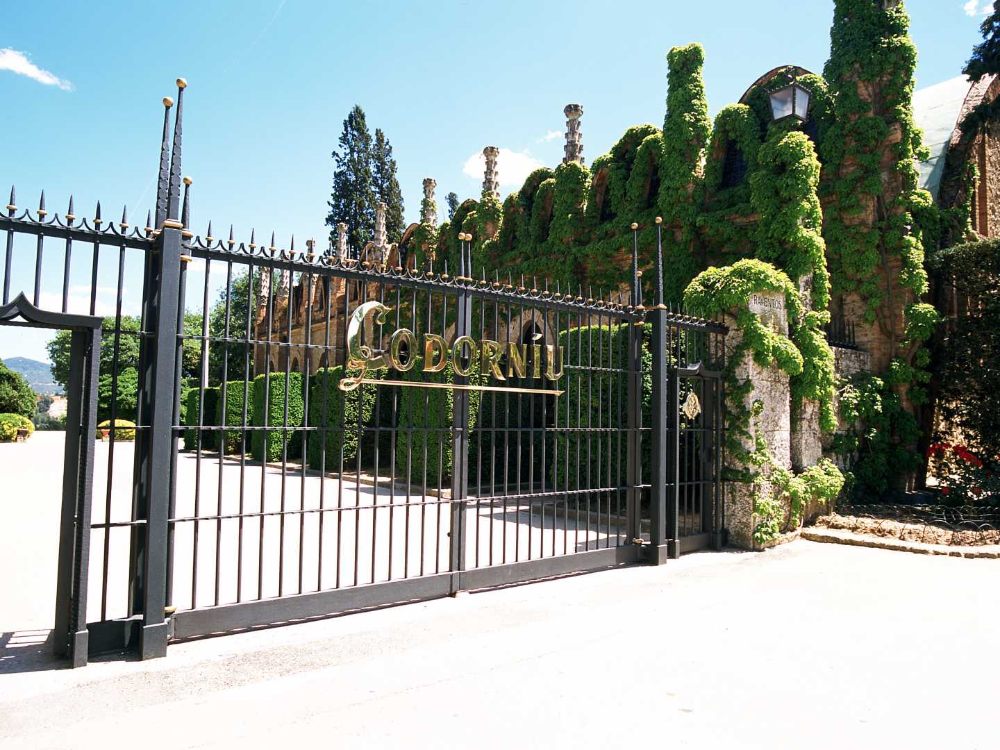 Kiinnostus viinimatkailuun kasvaa