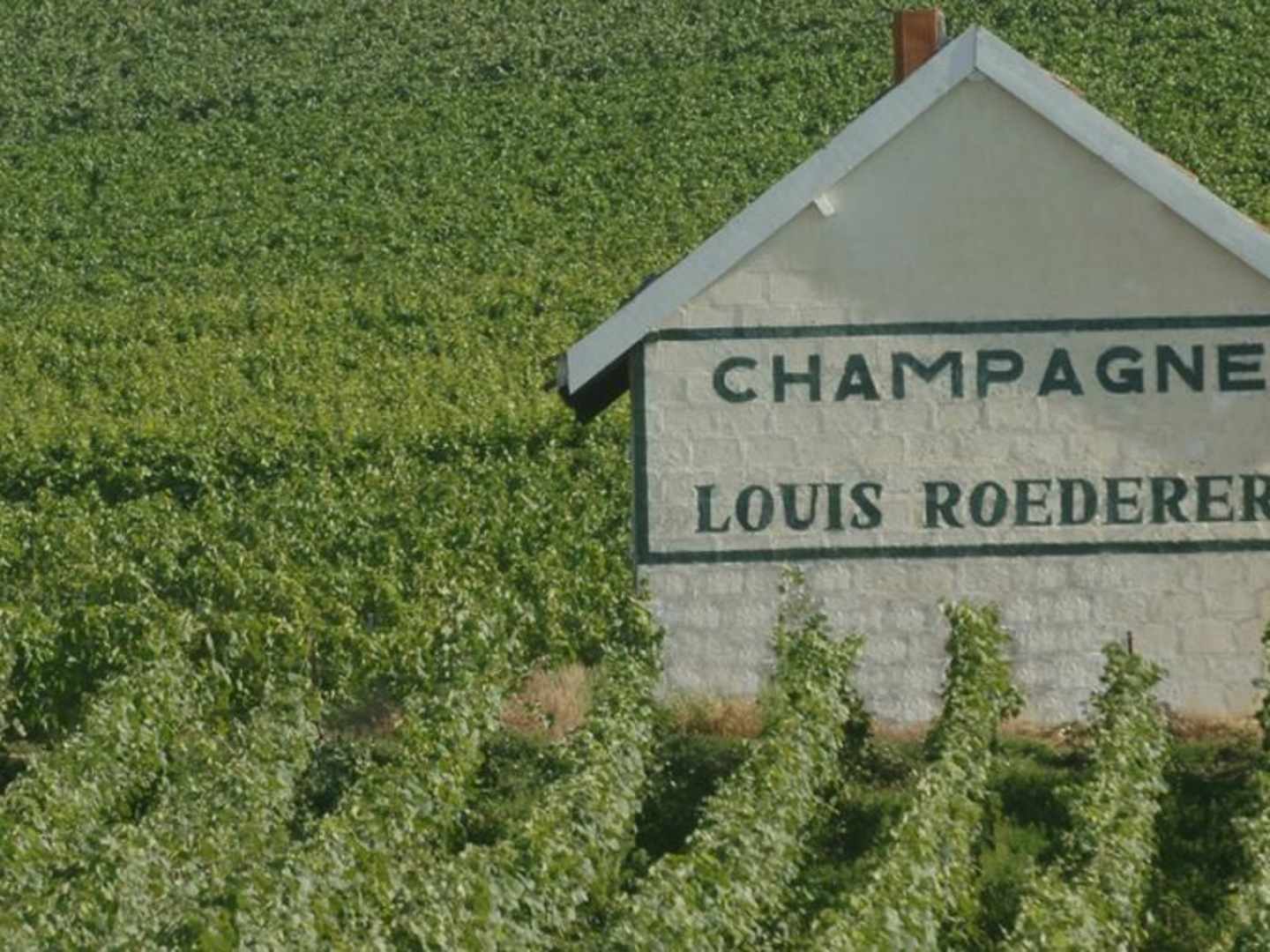 Louis Roederer