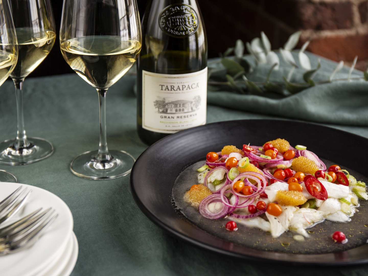 Kuhaceviche suolatuilla marjoilla + viinisuositus