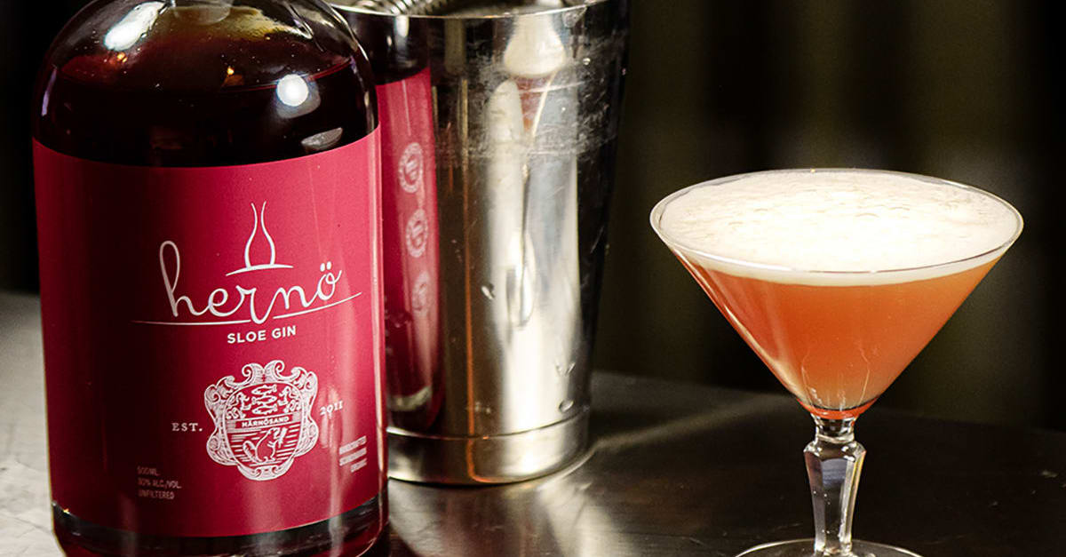 Sloe Gin Sour Folkofolk