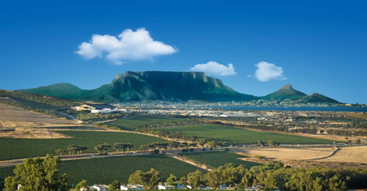 Durbanville Hills Viinimaa