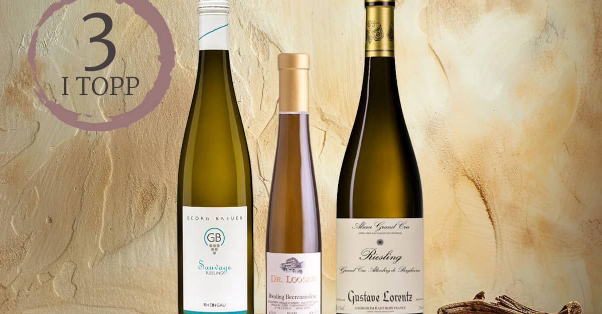 3-b-sta-rieslingvinerna-just-nu-folk-o-folk