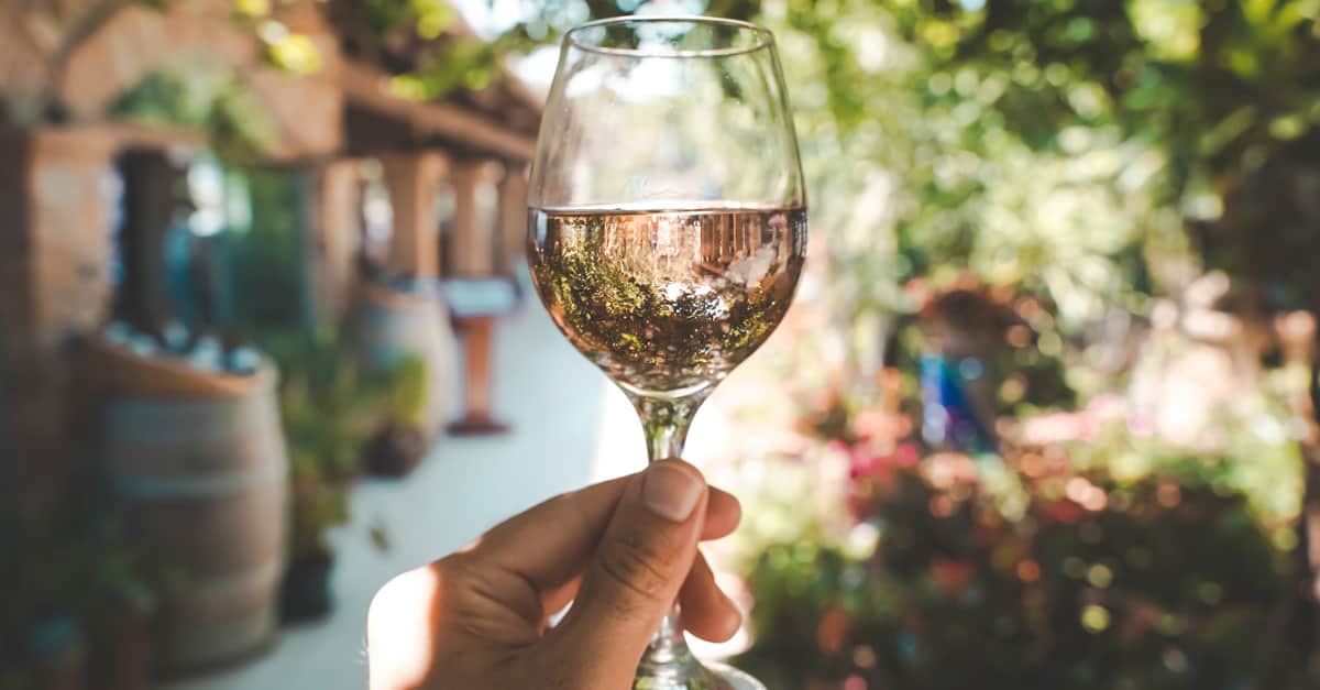 Torrt vin: Vad betyder det och vad ska man leta efter? | folk o folk