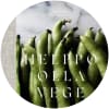 Resepti: Tiina Rantanen / Helppo olla Vege