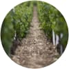Chablis-viinien alkuperäluokitus
