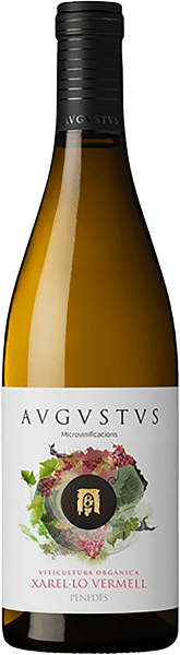 Avgvstvs Microvinificacions Xarel-lo Vermell