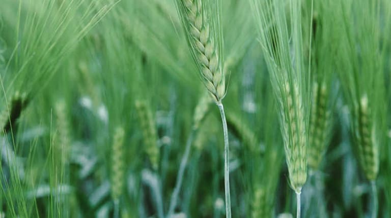 Farmers are our valuable partners