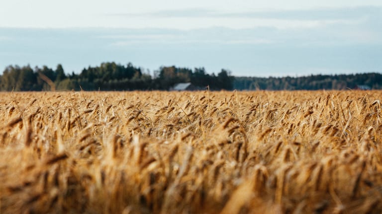 Regenerative farming is one of the sustainability targets