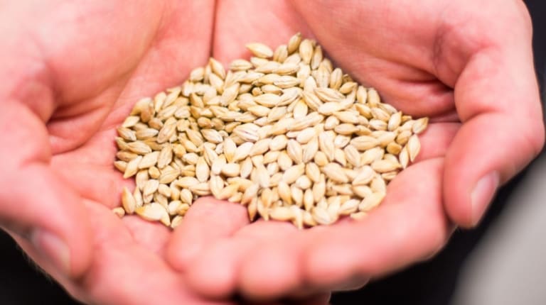 Ohran lajikkeellisia laatutietoja Koskenkorvan tehtaalta