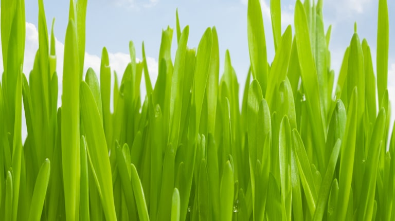 Naturet is environment friendly geothermal fluid