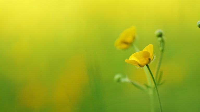 Naturet is geothermal fluid - safe for the user and nature also