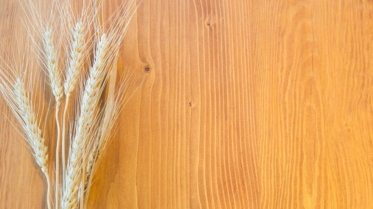 Ohrantähkiä laudalla