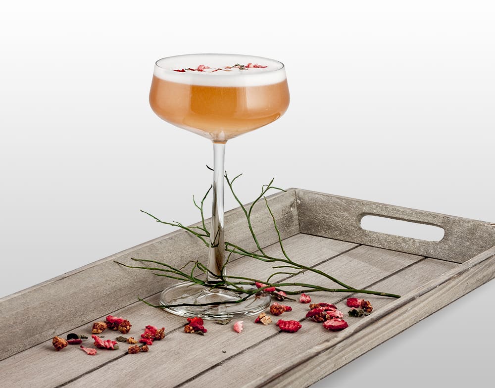 konkteil Rhubarb Martini nordic gin De Kuyper 